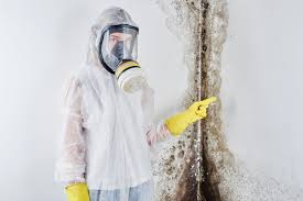 Why You Should Choose Our Mold Remediation Services in Port Chester, NY